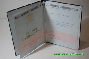 Купить диплом в Череповце Новгородского филиала РАНХиГС — Российской академии народного хозяйства и государственной службы при Президенте РФ